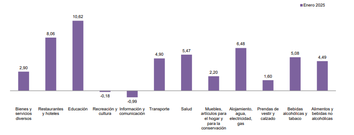 Variación anual del Índice de Precios al Consumidor (IPC)
Por divisiones de gasto
2025 (enero)
