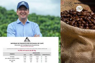 Producción de café registró cifra histórica: 14,79 millones de sacos entre marzo y febrero