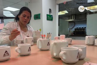 Café de nuestra tierra: oficialmente la bebida nacional y motor económico del país