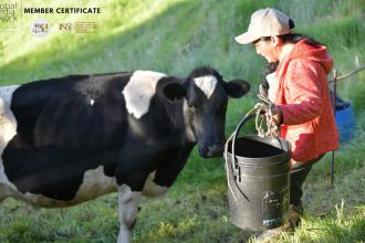 Día Mundial de la Leche: la apuesta por un campo que se mantiene en pie