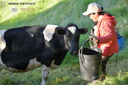 Día Mundial de la Leche: la apuesta por un campo que se mantiene en pie