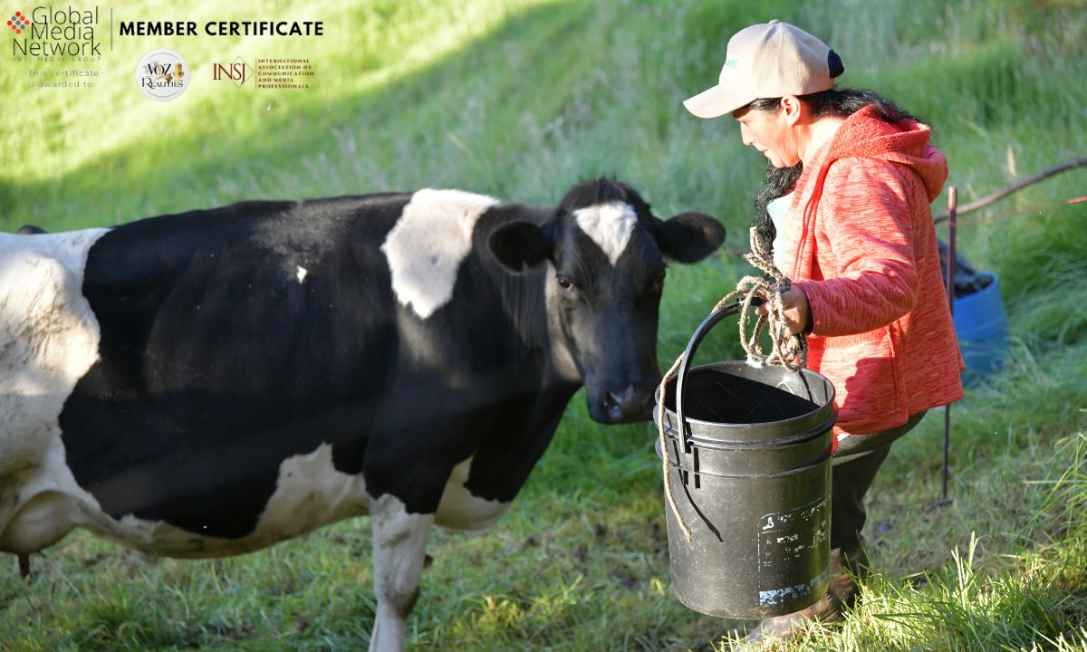 Día Mundial de la Leche: la apuesta por un campo que se mantiene en pie