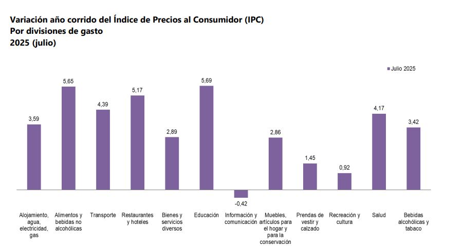 Fuente: DANE, IPC
Nota: el orden de los grupos responde a su ponderación dentro de la canasta del IPC (izq – der).
