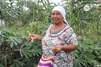 Mujeres Wayúu: guardianas del agua y la vida en el corazón del desierto