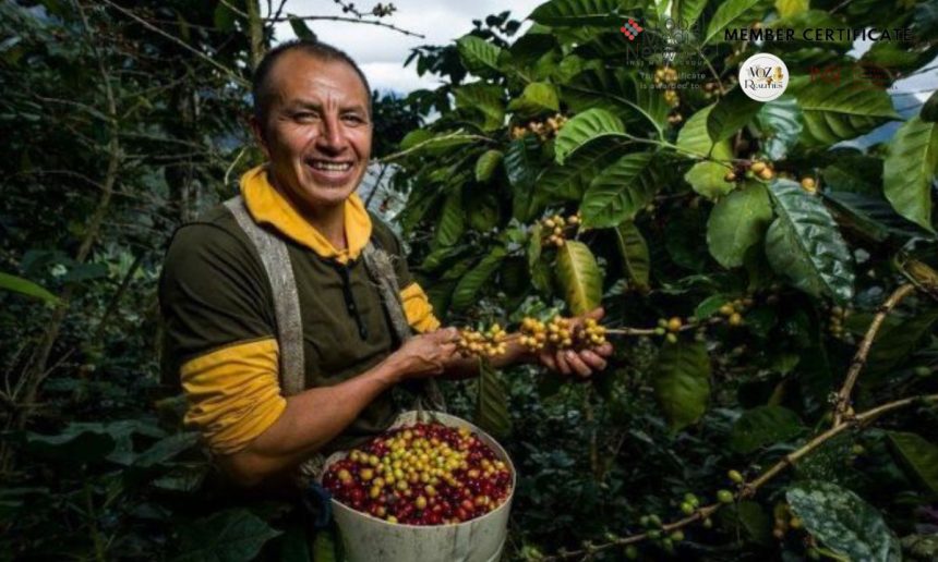 Cundinamarca se consolida como tercer exportador del país con USD 2.833 millones en 2025