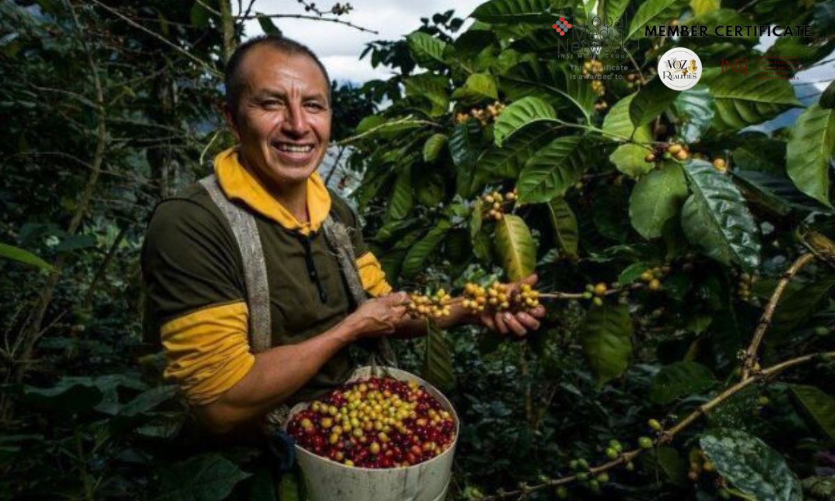 Cundinamarca se consolida como tercer exportador del país con USD 2.833 millones en 2025 Cundinamarca se consolida como tercer exportador del país con USD 2.833 millones en 2025