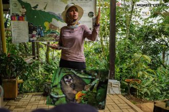 Bosque Colibrí, la reserva natural cerca de Cali que impulsa el turismo ecológico y el bienestar en la zona rural