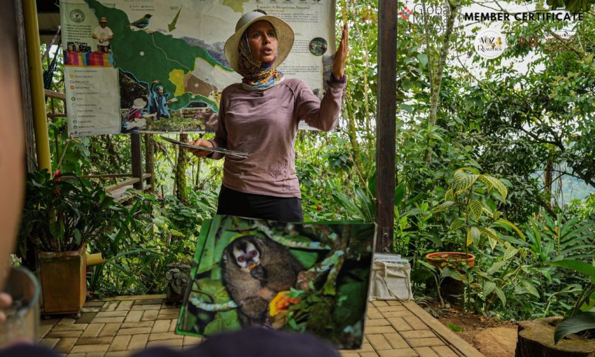 Bosque Colibrí, la reserva natural cerca de Cali que impulsa el turismo ecológico y el bienestar en la zona rural