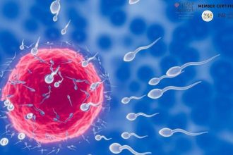 La IA abre una nueva esperanza para hombres con infertilidad severa: así nació una revolucionaria técnica para encontrar espermatozoides ocultos