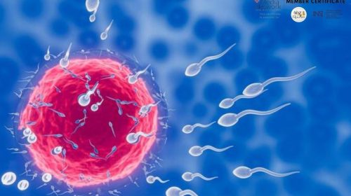 La IA abre una nueva esperanza para hombres con infertilidad severa: así nació una revolucionaria técnica para encontrar espermatozoides ocultos