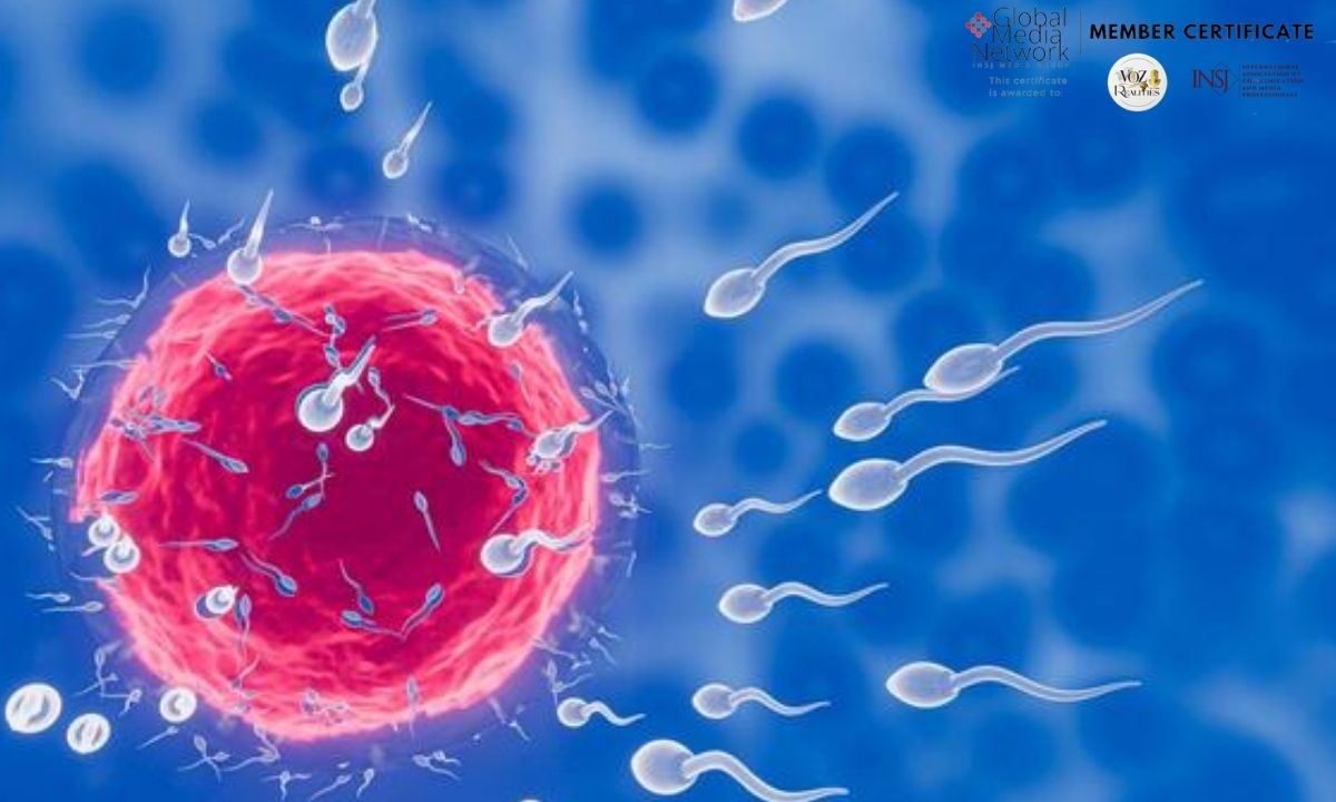 La IA abre una nueva esperanza para hombres con infertilidad severa: así nació una revolucionaria técnica para encontrar espermatozoides ocultos