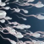 ¿Está en riesgo la fertilidad masculina? La advertencia científica sobre los químicos presentes en productos de uso diario ¿Está en riesgo la fertilidad masculina? La advertencia científica sobre los químicos presentes en productos de uso diario
