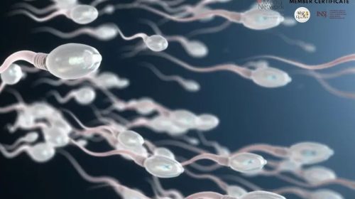 ¿Está en riesgo la fertilidad masculina? La advertencia científica sobre los químicos presentes en productos de uso diario