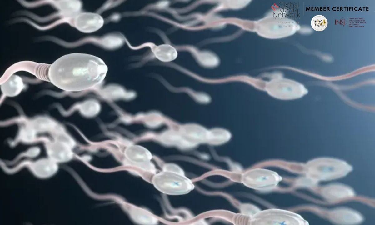 ¿Está en riesgo la fertilidad masculina? La advertencia científica sobre los químicos presentes en productos de uso diario