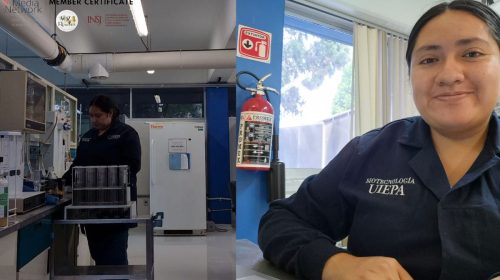 Andrea Karen Navarro Arroyo: la joven investigadora mexicana que impulsa la biotecnología y la seguridad alimentaria
