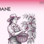 DANE revela las principales brechas del mercado laboral en Colombia durante 2026