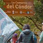 Inter Bogotá y la Fundación Parque Jaime Duque se unen para conservar el cóndor andino, del que quedarían entre 160 y 250 individuos silvestres en Colombia.