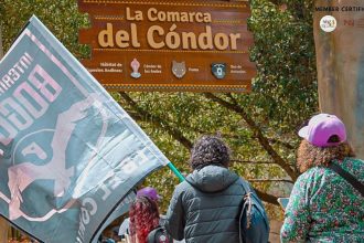 Inter Bogotá y la Fundación Parque Jaime Duque se unen para conservar el cóndor andino, del que quedarían entre 160 y 250 individuos silvestres en Colombia.