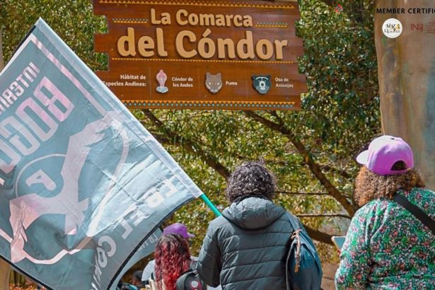 Inter Bogotá y la Fundación Parque Jaime Duque se unen para conservar el cóndor andino, del que quedarían entre 160 y 250 individuos silvestres en Colombia.
