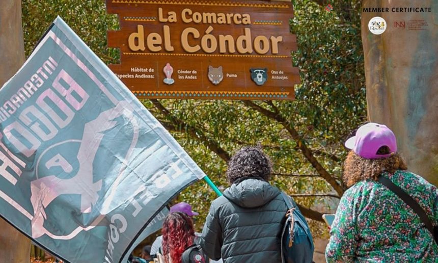 Inter Bogotá y la Fundación Parque Jaime Duque se unen para conservar el cóndor andino, del que quedarían entre 160 y 250 individuos silvestres en Colombia.